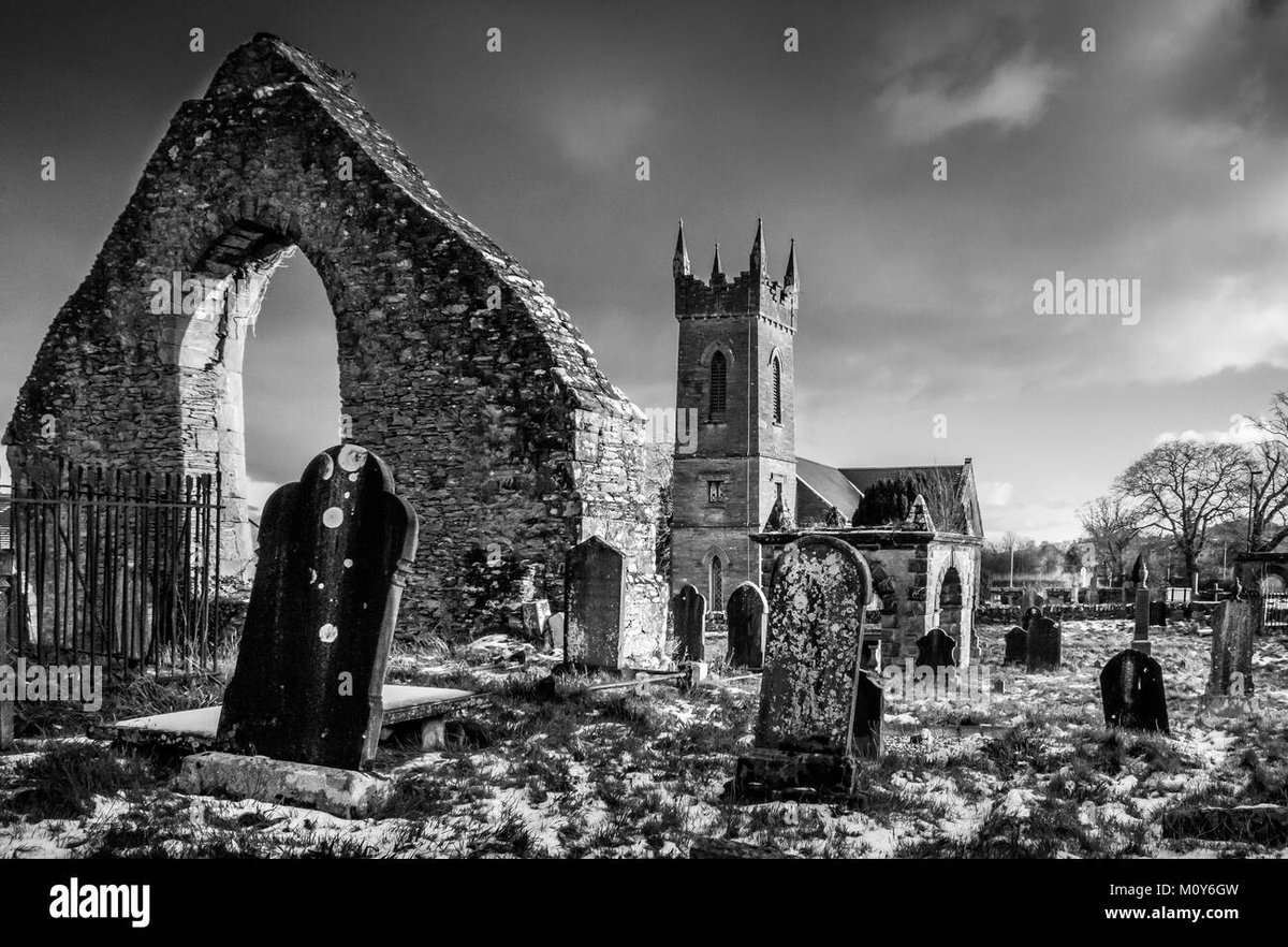 How Old is Yor Forger in Solo Leveling No Such Character